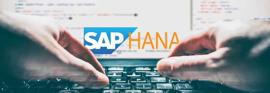 Breve Histórico do Sap Hana